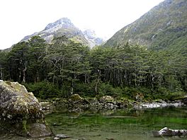 Blue lake Nelson New Zealand.jpg