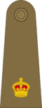 British Army (1920-1953) OF-3.svg