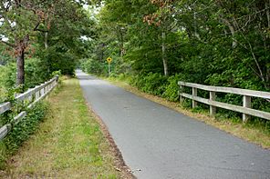 Cape Cod Rail Trail 2014.jpg