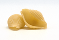 Conchiglie rigate.png