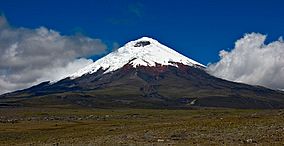 Cotopaxi volcano 2008-06-27T1322.jpg