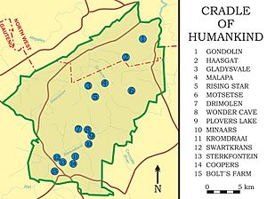 Cradle of Humankind plan