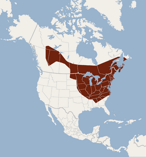 Distribution of Myotis septentrionalis.png