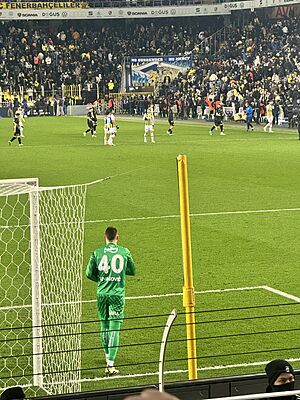 Dominik Livaković, Fenerbahçe v. Ankaragücü