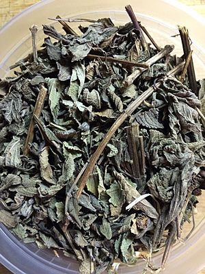 Dried koseret herb 01