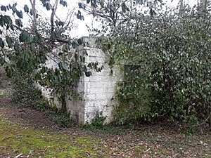 Drinking Water Treatment Building