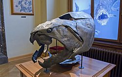 Dunkleosteus (15677042802)