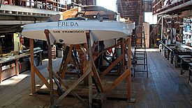 Freda rb2