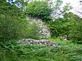 Garlies Castle - geograph.org.uk - 503764