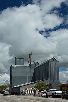 Grain Tower in downtown Templeton California