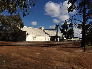 Grain storage Woodanilling