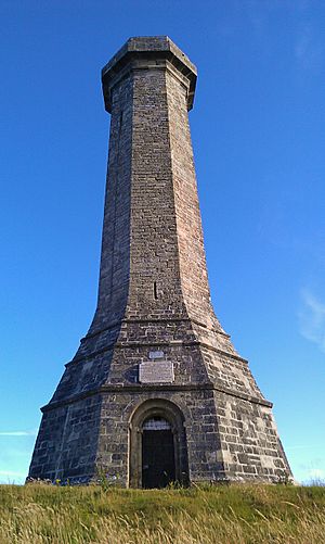 Hardy Monument II