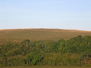 Harrow Hill (geograph 3655796).jpg