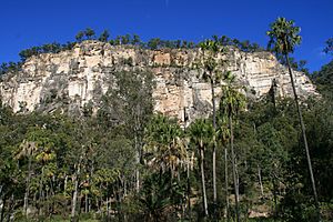 Hill in Carnarvon National Park