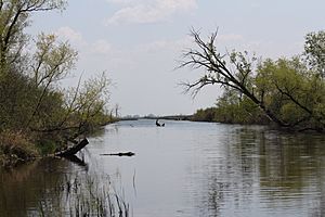 Horicon Marsh central channel