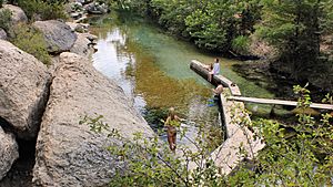 Jacob's Well Natural Area