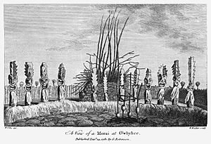 Kealakekua Bay heiau illustration