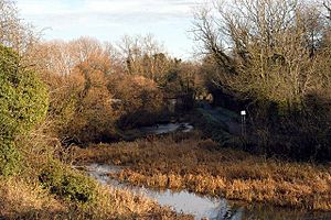 Lagan Canal (Disused) - geograph.org.uk - 640122