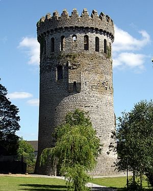 Nenagh Castle