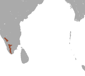 Nilgiri Langur area.png