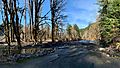 Olympic Hot Springs Road washout