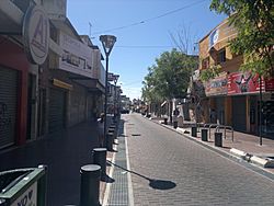 Peatonal Constitución - panoramio.jpg