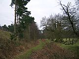 Peddars Way - Knettishall Heath