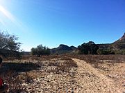 Peoria-Lake Pleasant Regional Park-Hiking trail