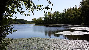 Petit Jean State Park 032