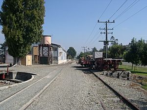 Pleasant Point Railway 2