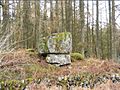 Pulpit Stone at Craigenputtock (2007)