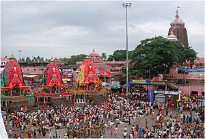 Rath Yatra Puri 07-11027