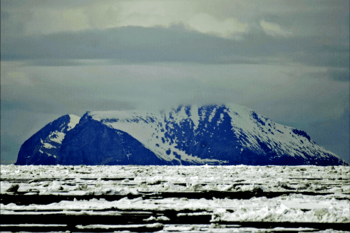 Saint Matthew Island - Cape Upright.png