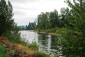 Santiam River near I-5.JPG