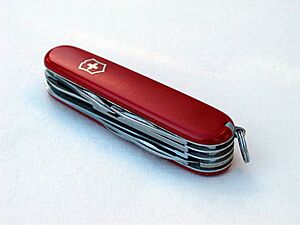 Swiss army knife closed 20050612