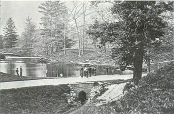 Taddle Creek - McCaul's Pond.jpg