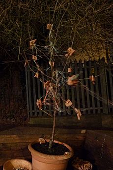 Toast tree trolley