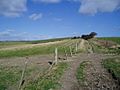 Track between Slonk Hill Farm and Mossy Bottom Barn - geograph.org.uk - 712703