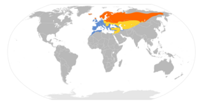 Turdus iliacus map.svg