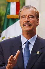 Vicente Fox flag