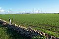 Wattle Point wind farm