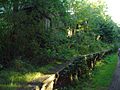 Whitwell Station - Platform