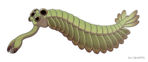 20191108 Opabinia regalis