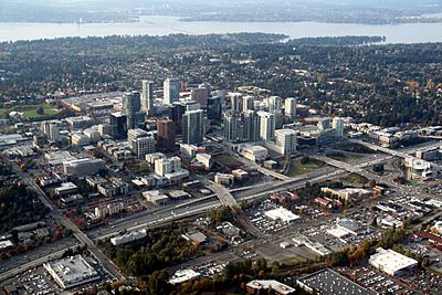 Aerial Bellevue Washington November 2011