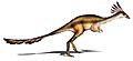 Alvarezsaurus calvoi