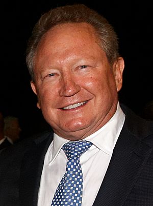 Andrew Forrest 2017.jpg