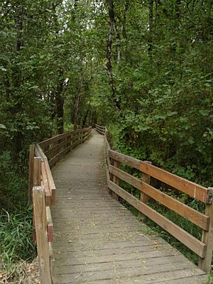 Ankeny National Wildlife Refuge - bridge