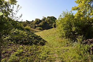 Ashwell Quarry 10