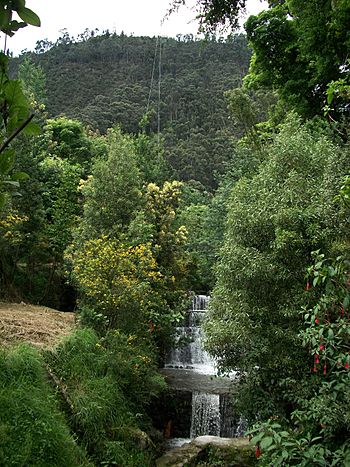 BOG Río San Francisco.JPG