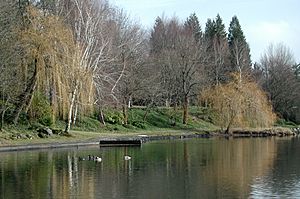 Blue Lake shoreline.jpg